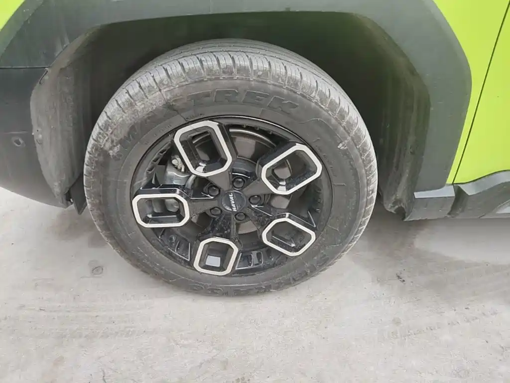 Haval Cool Dog — миниатюра 23