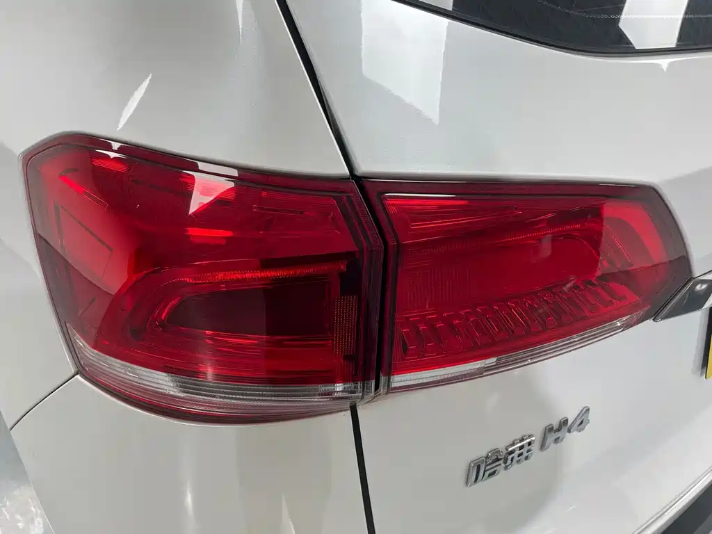 Haval H4 — миниатюра 16