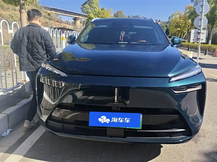 WEI PAI WEI BRAND BLUE MOUNTAIN