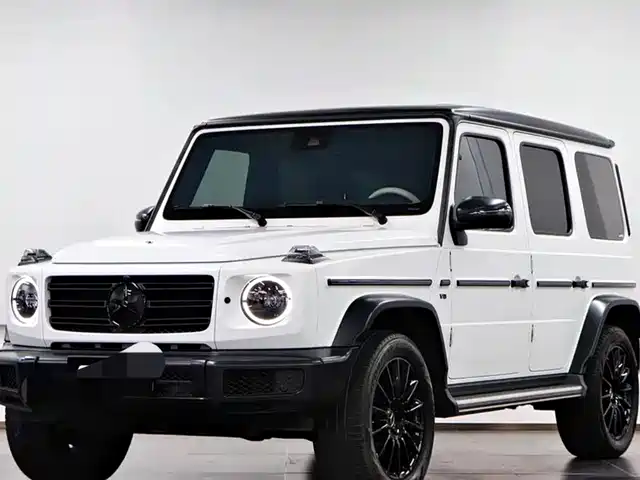 MERCEDES-BENZ G CLASS