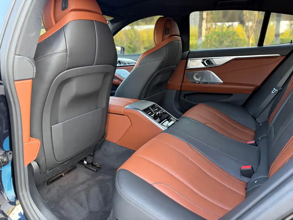 BMW 8 Series — миниатюра 9