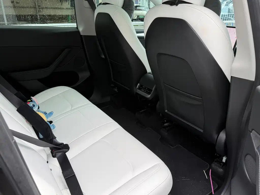 Tesla Model Y — миниатюра 9