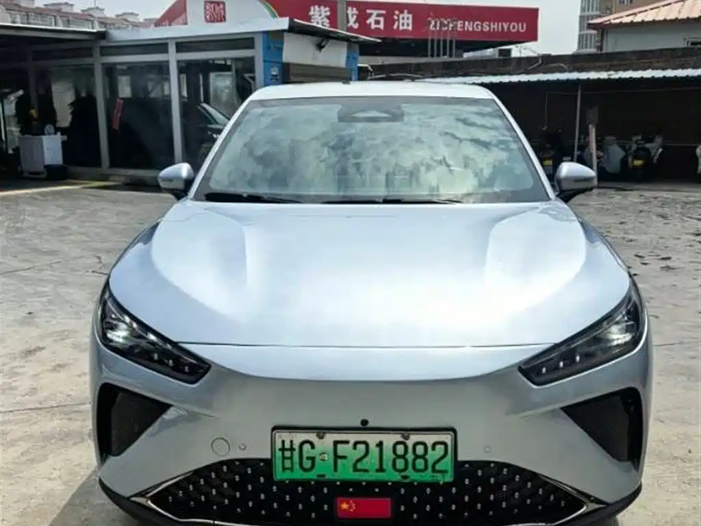 Neta L 2024 310 PRO