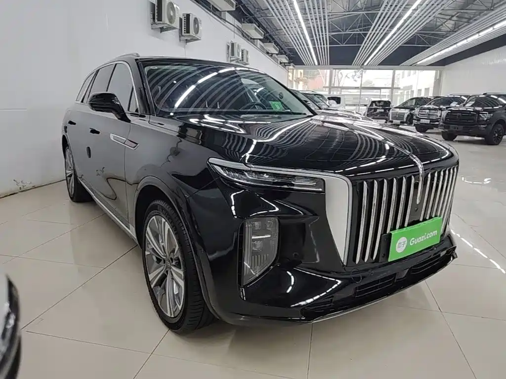 Hongqi Hongqi E-HS9 — миниатюра 4