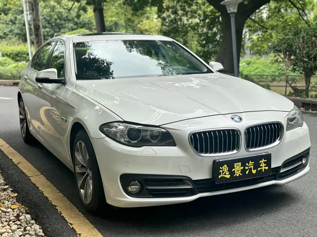 BMW 5 Series — миниатюра 3