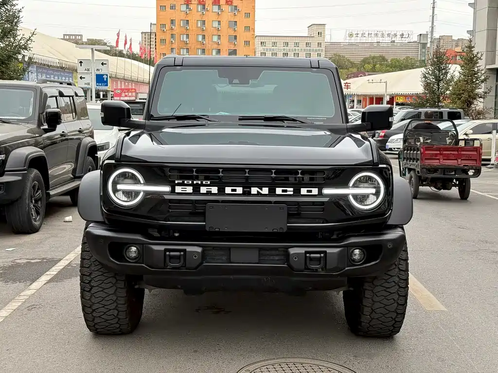 Ford Bronco — миниатюра 2