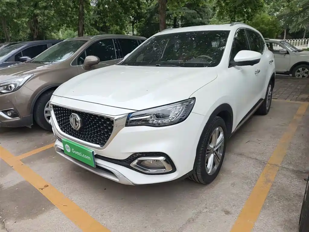 Mg HS 2019