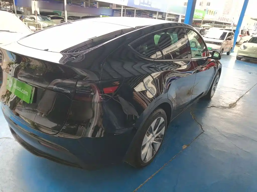 Tesla Model Y — миниатюра 7