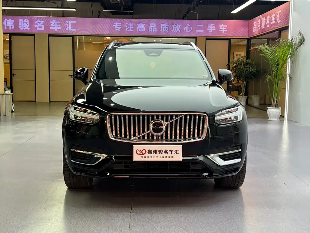 Volvo XC90 — миниатюра 3