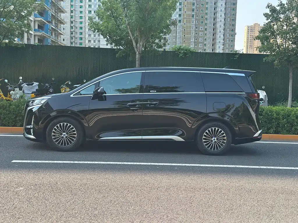 Denza Denza D9 — миниатюра 4