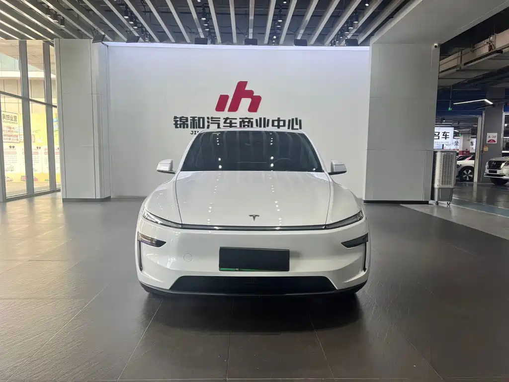 Tesla Model Y — миниатюра 3