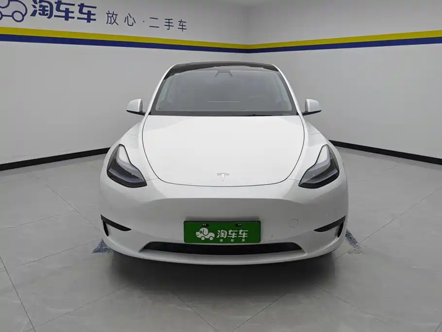 Tesla Model Y — миниатюра 2