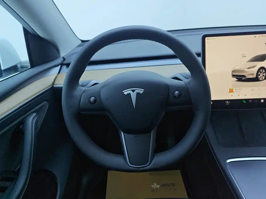 Tesla Model Y — миниатюра 15