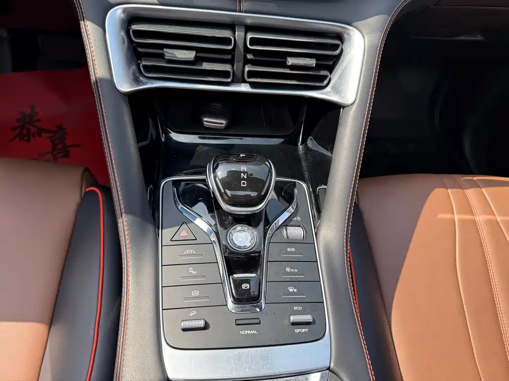 BYD PLUS — миниатюра 9