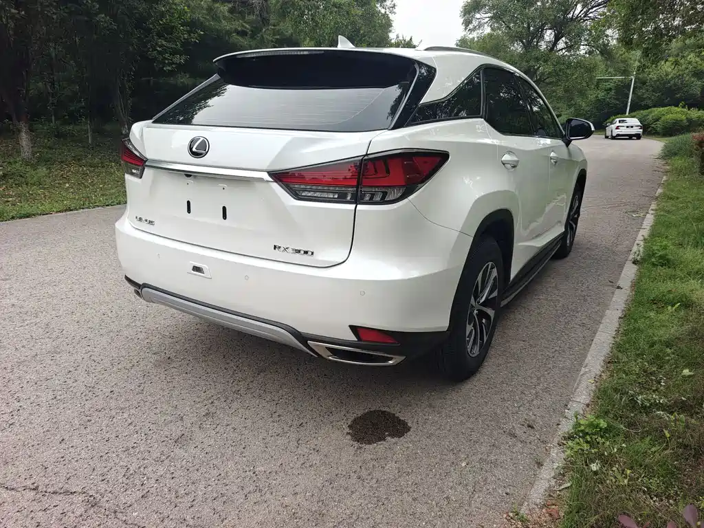 Lexus RX — миниатюра 4