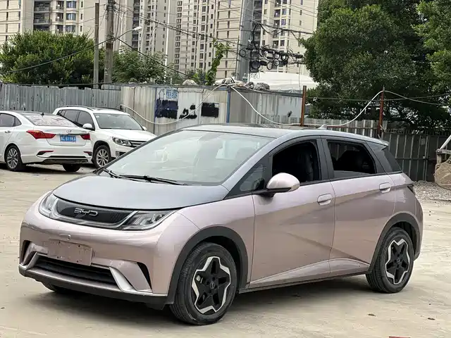 2023 BYD Dolphin