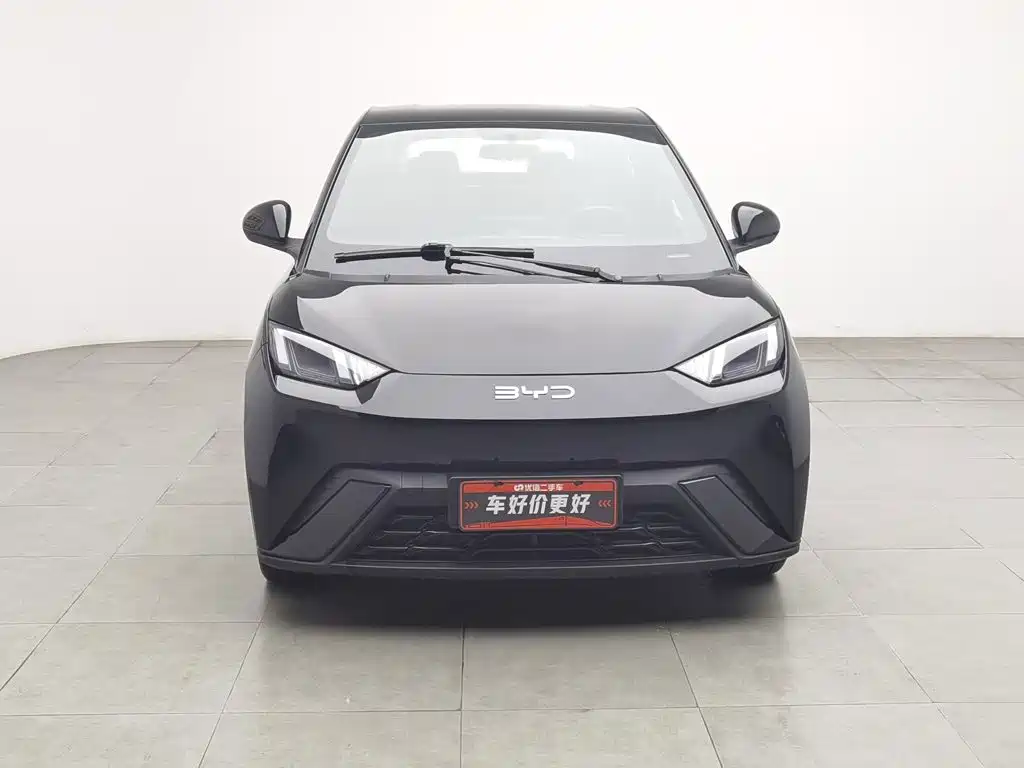 BYD Seagull 2024 305km Freedom