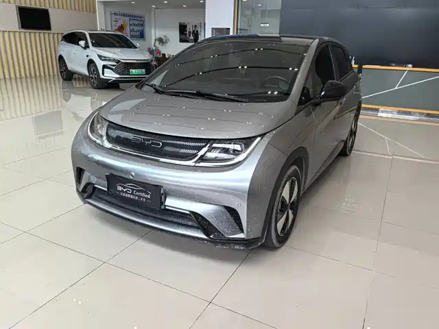 2023 BYD Dolphin