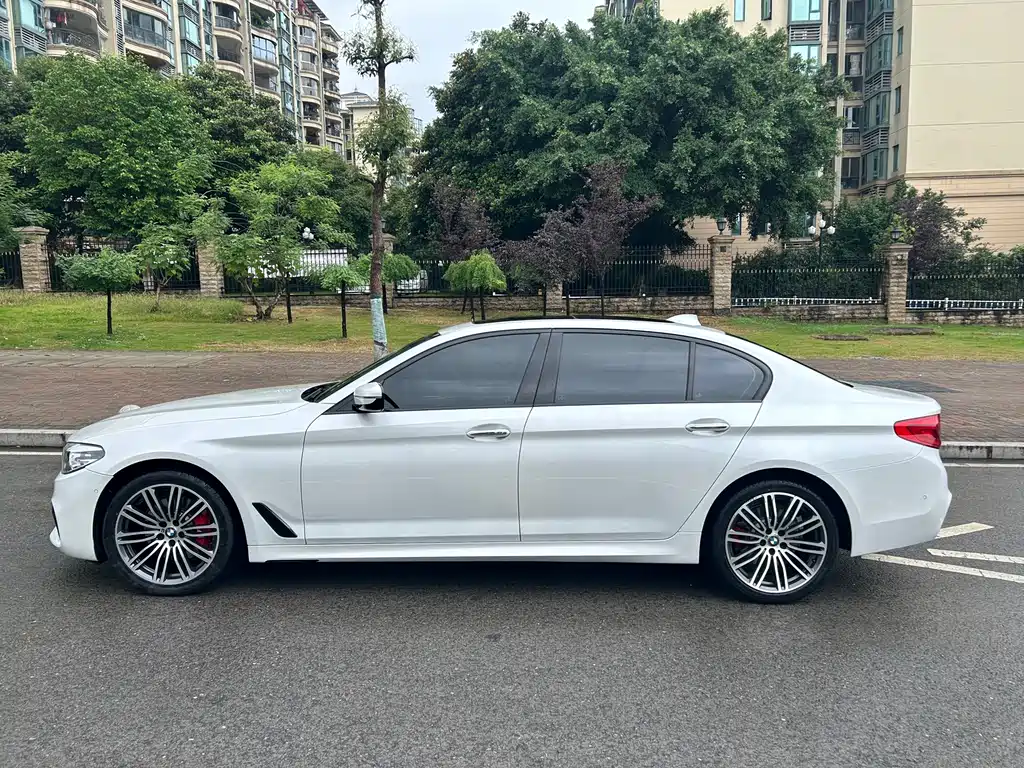 BMW 5 Series 5 2019 530Li xDrive M Sport