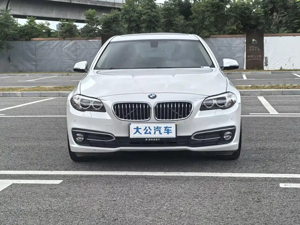 BMW 5 Series — миниатюра 2
