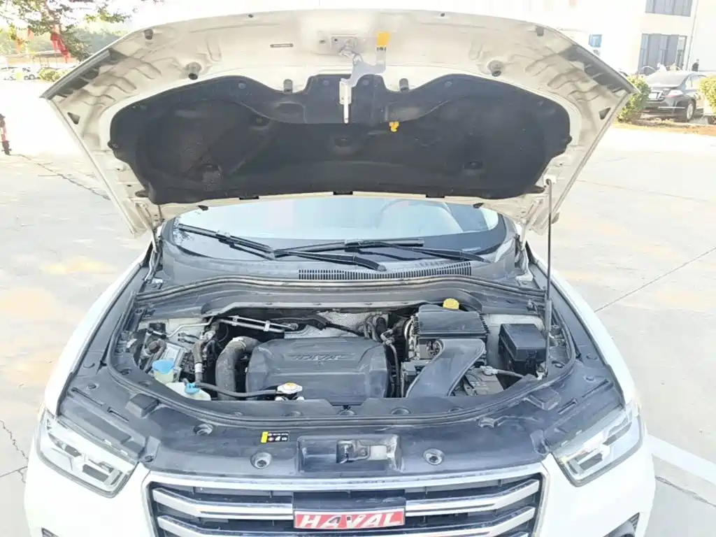 Haval H2s — миниатюра 20