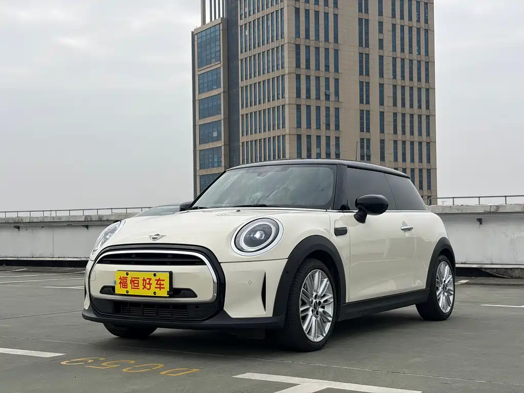 Mini Mini 2021