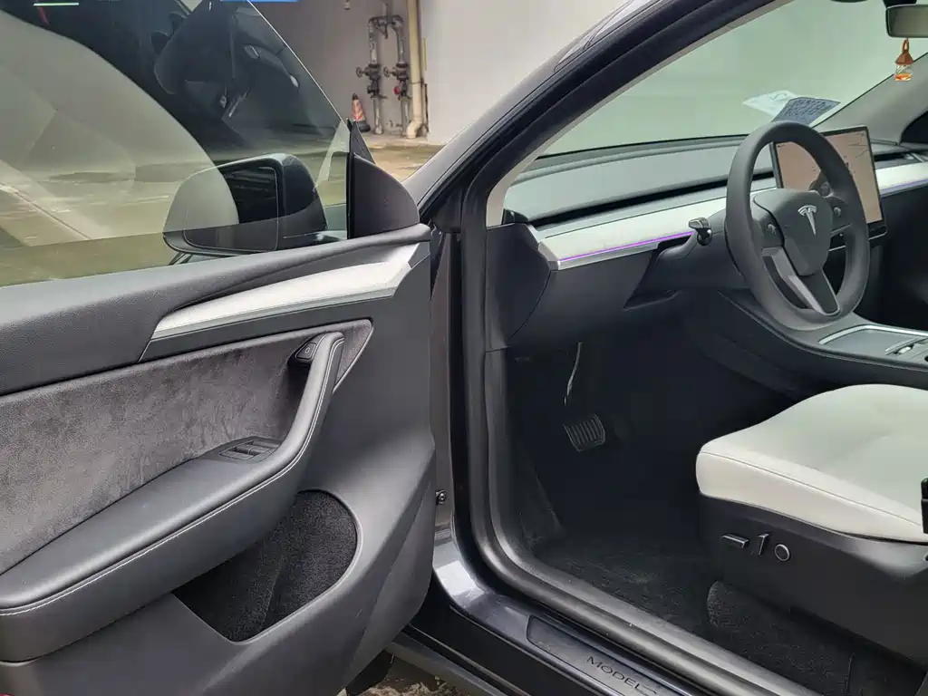 Tesla Model Y — миниатюра 7