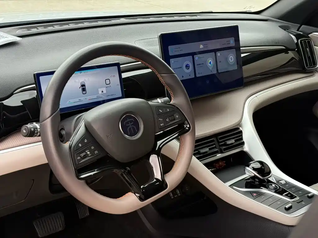 BYD Pro New Energy — миниатюра 11