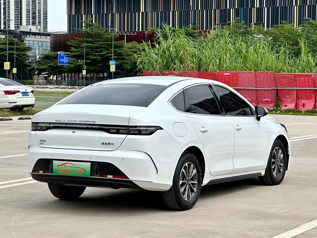 BYD Destroyer 05 2023 Champion DM-i 55KM Luxury
