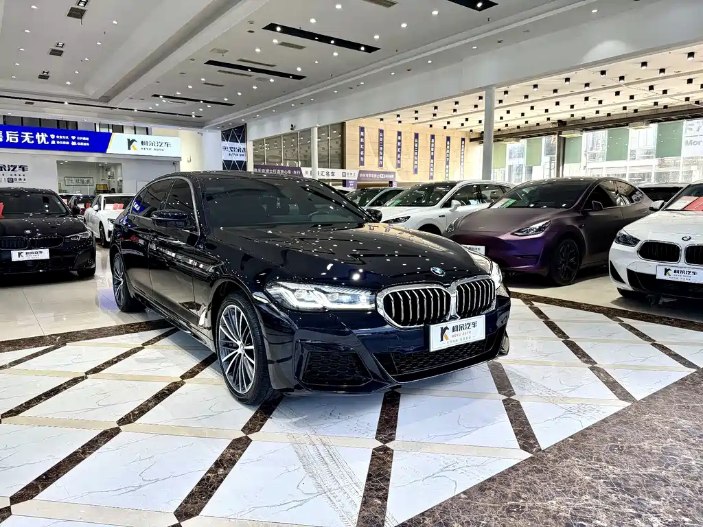 BMW 5 Series — миниатюра 4