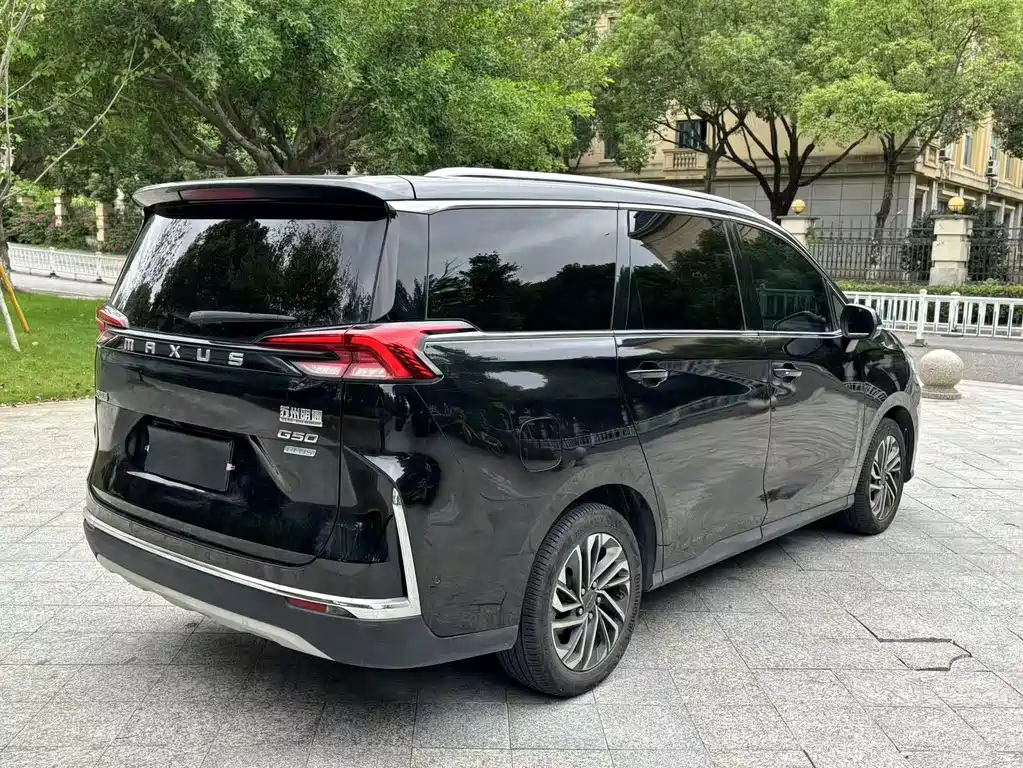 MAXUS G50 — миниатюра 12