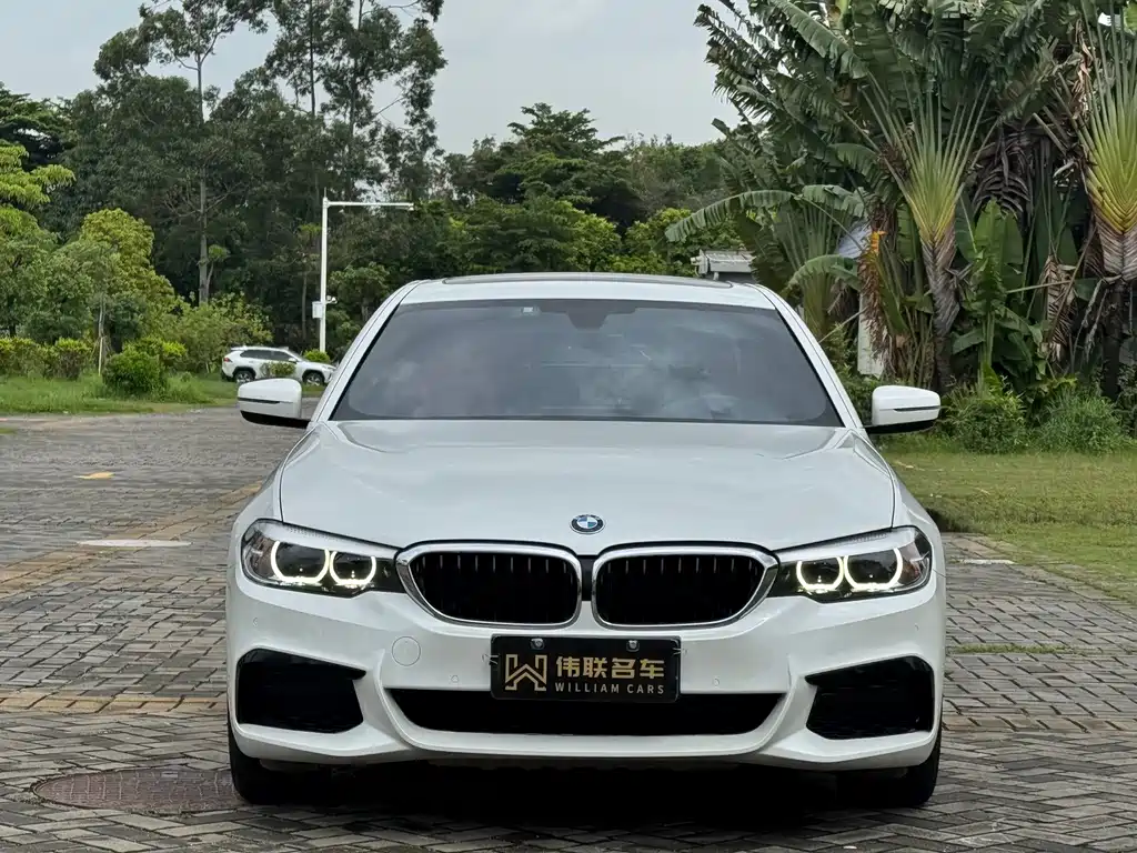 BMW 5 SERIES