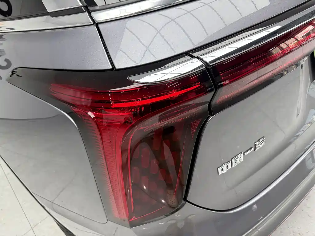 Hongqi E-HS9 2022 690km мест