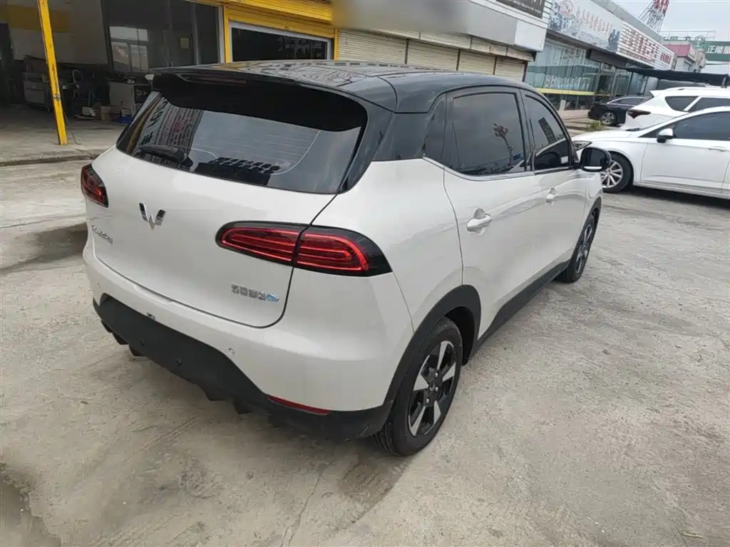 Wuling BinguoPLUS PLUS 2024 510km мест