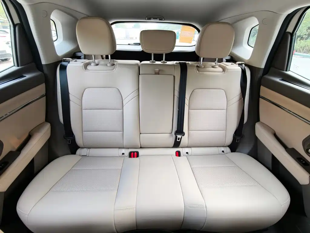 Haval Big Dog PLUS New Energy — миниатюра 19
