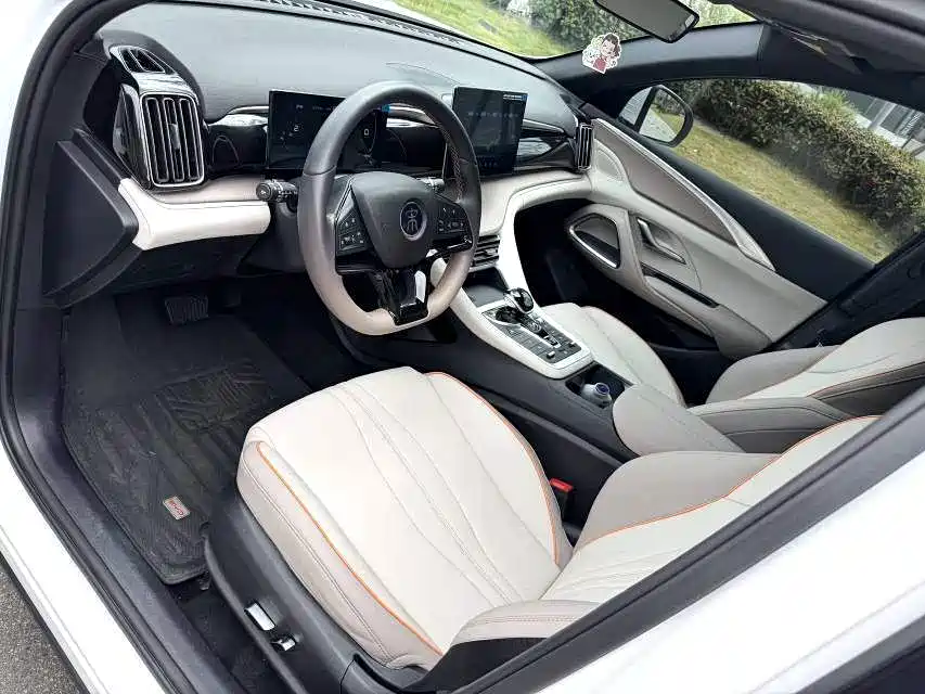 BYD Pro New Energy — миниатюра 10