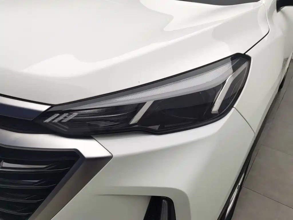 BAIC X3 — миниатюра 7