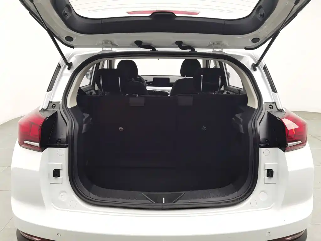 BAIC X3 — миниатюра 16