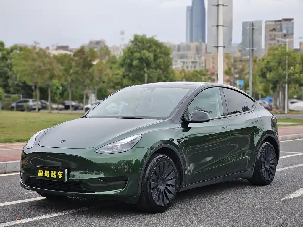 Tesla Model Y 2022