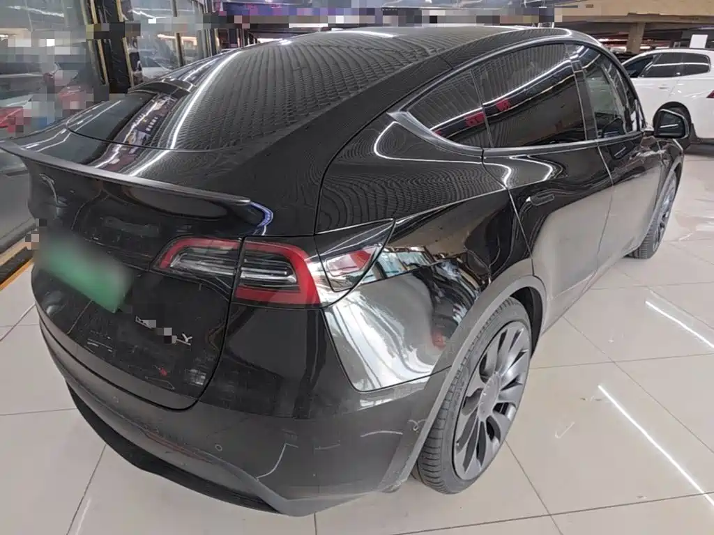 Tesla Model Y — миниатюра 7