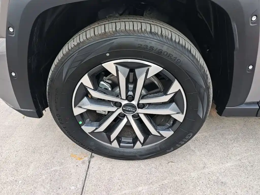 Haval Big Dog PLUS — миниатюра 23