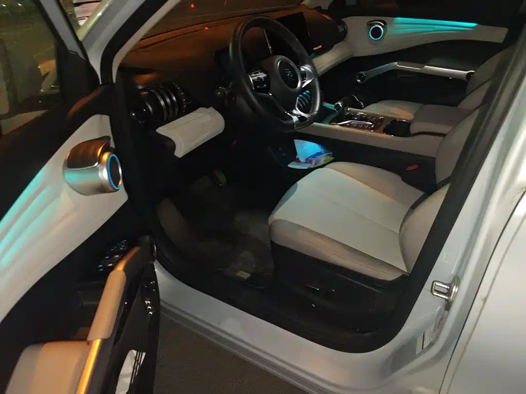 BYD Yuan Plus — миниатюра 14