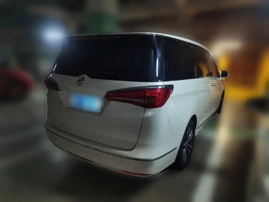 Buick GL8 — миниатюра 6