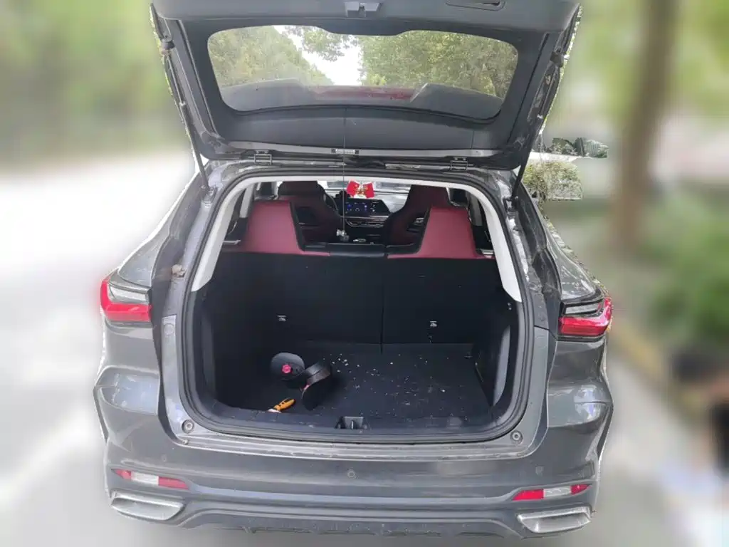 Oshan Oushang X5 — миниатюра 10