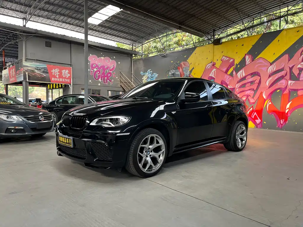 BMW X6 2009