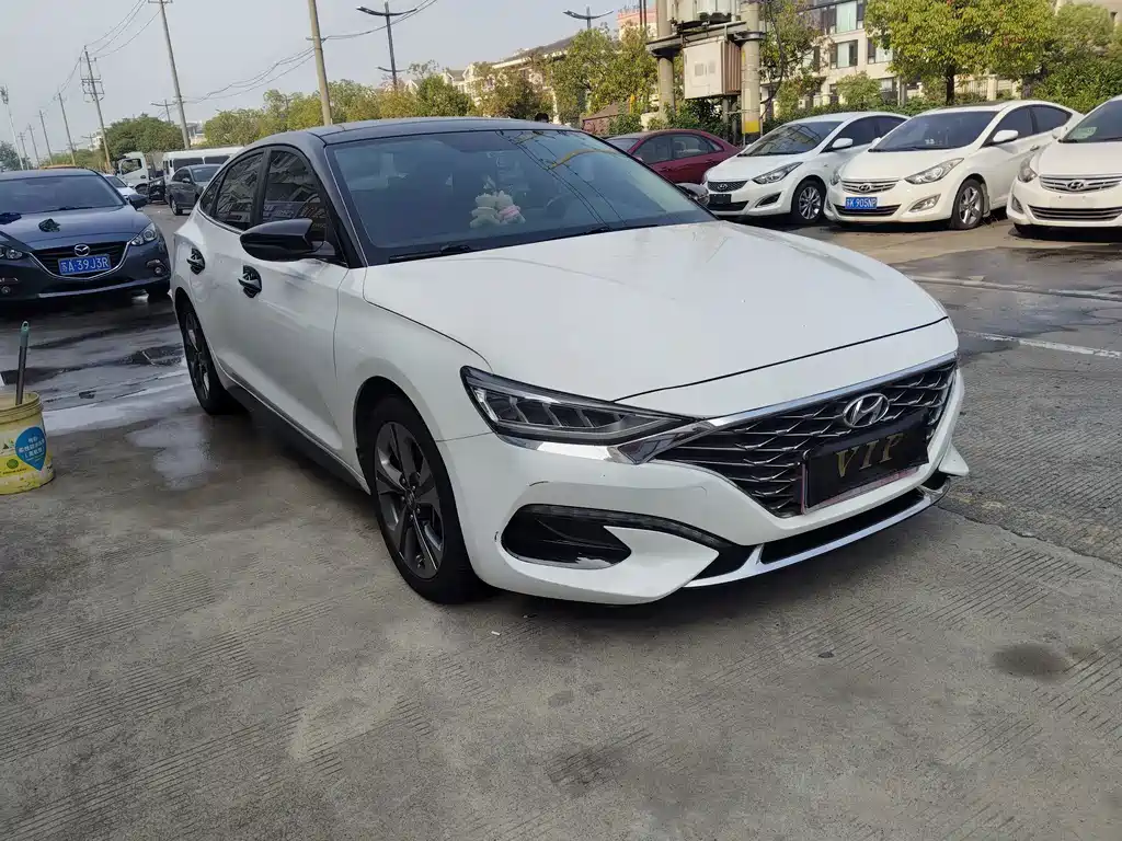 Hyundai Fista — миниатюра 2