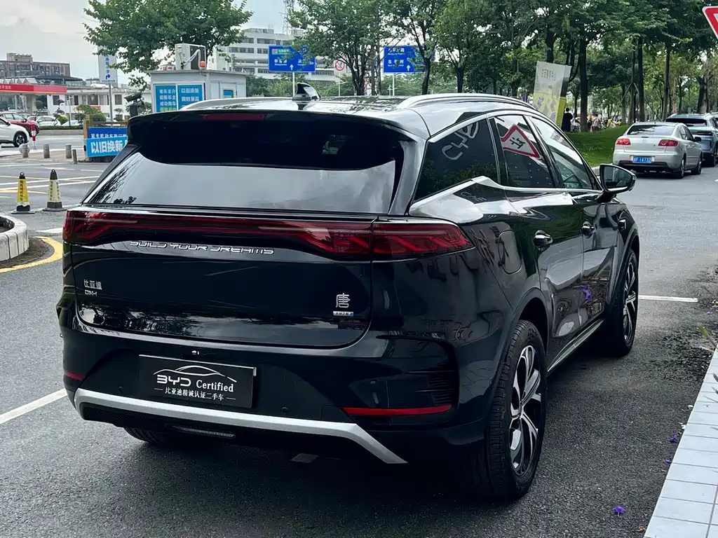 BYD Tang New Energy — миниатюра 13