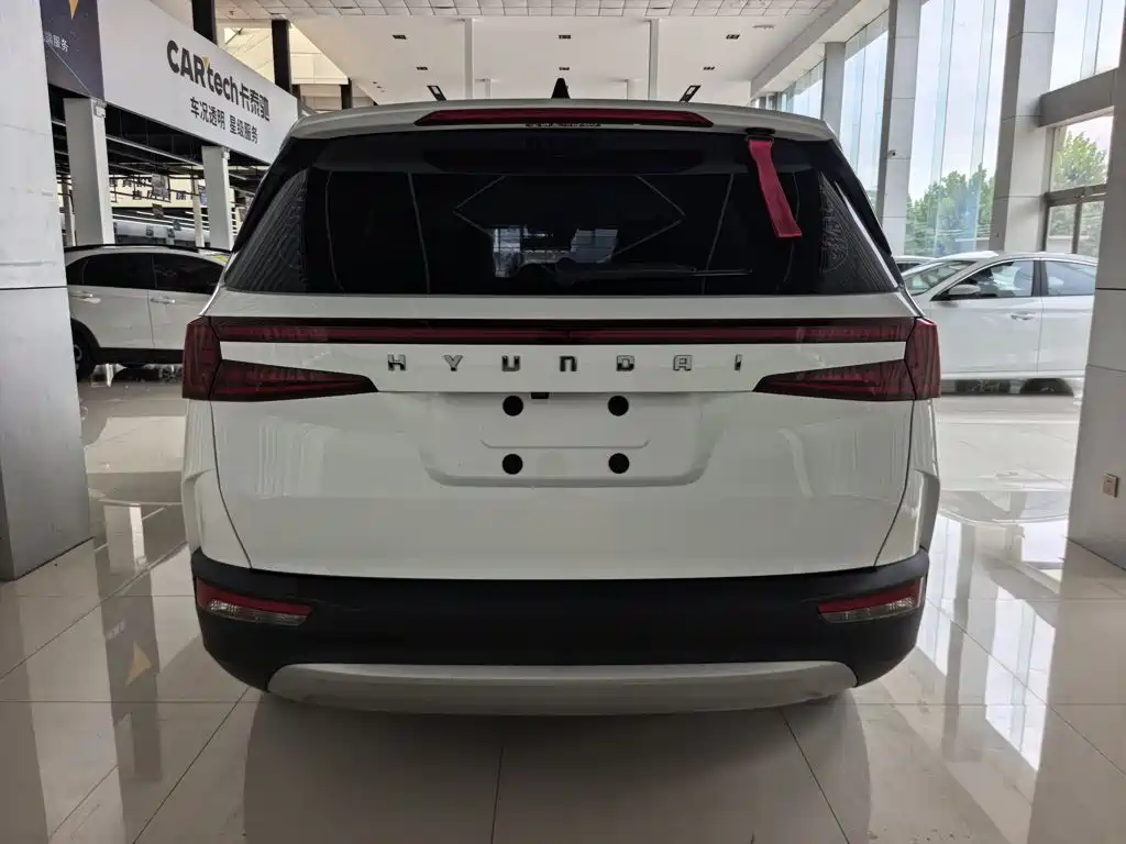 Hyundai Custo — миниатюра 4