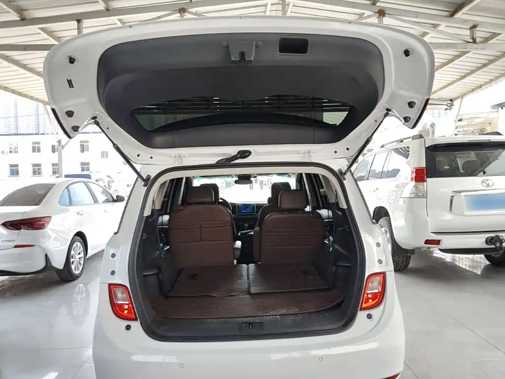 Buick GL6 — миниатюра 19