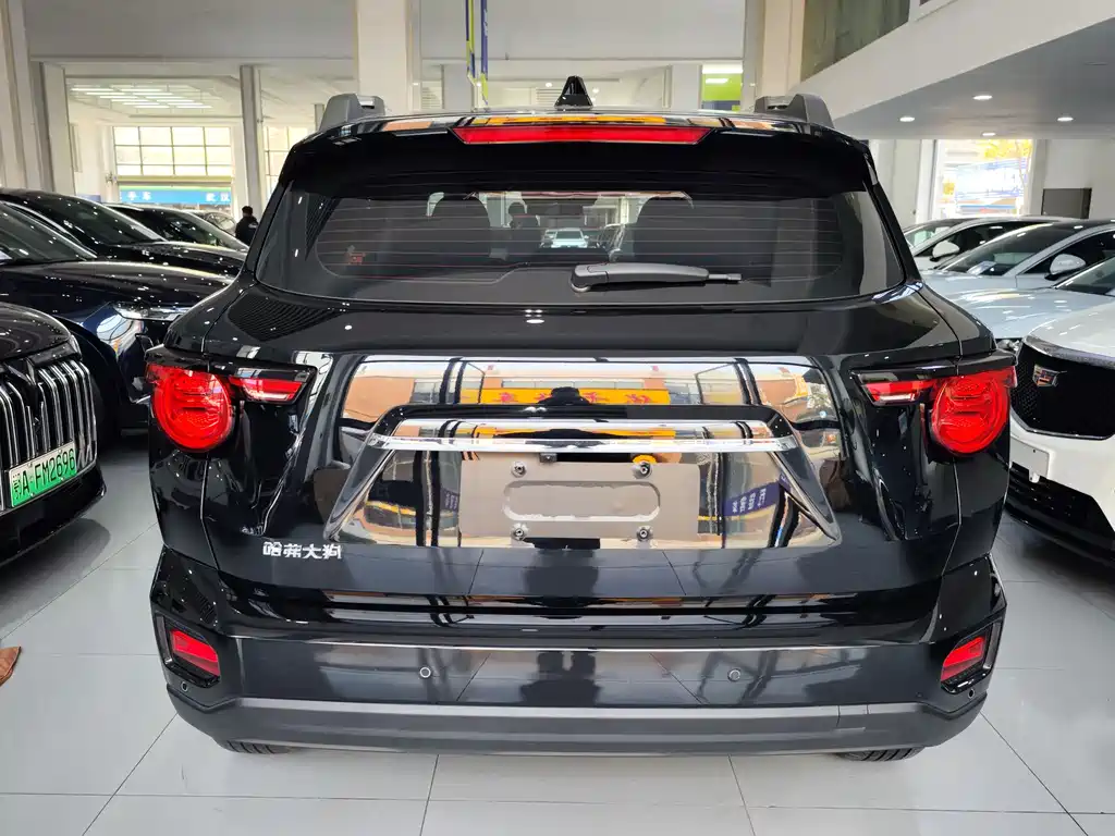 HAVAL SECOND GENERATION BIG DOG